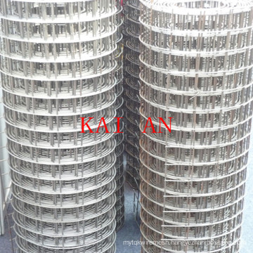 19X19mm galvanized welded wire mesh